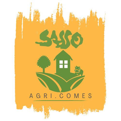 Agricoltura Bio a Km0 - SASSO - AGRI.COMES